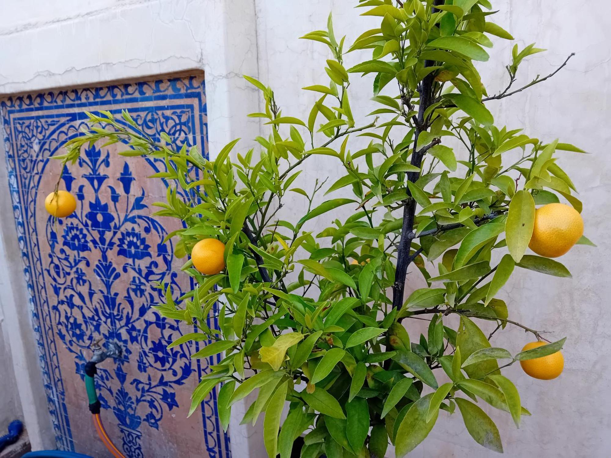 Hotel Dar Eva Fez Exterior foto